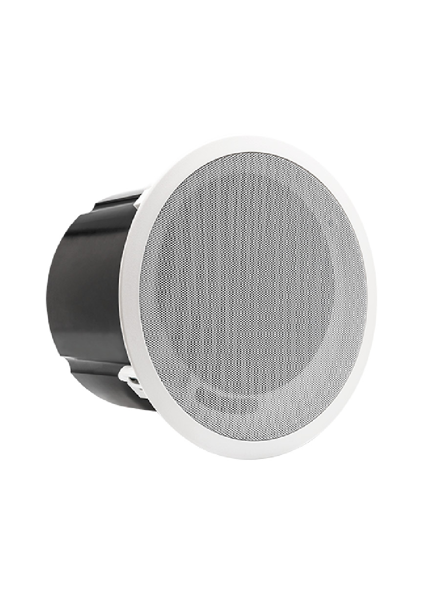 Compact passive 6” ceiling mount subwoofer
        
