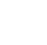 Amplifier & Processor