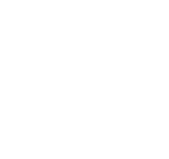 Ceiling speakers